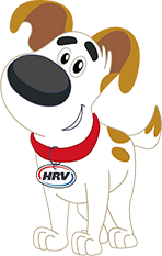 Harvey